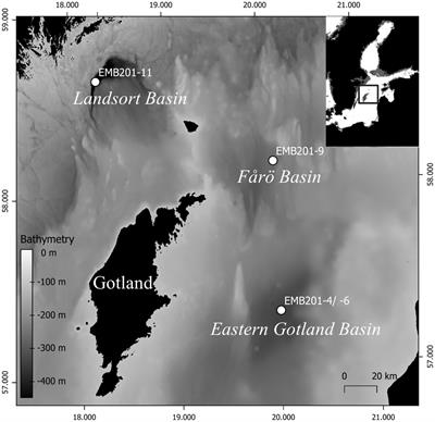 Nitrosopumilus as main source of isoprenoid glycerol dialkyl glycerol tetraether lipids in the central Baltic Sea